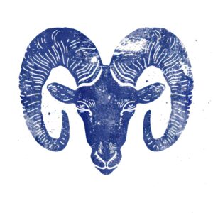 ARIES Rawpixel