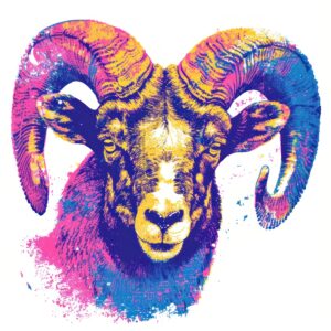 Spotlight on Aries